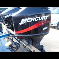 Image of 2003 Mercury 150 EFI XL